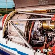 包含德约科维奇谁能执教11冠王球迷热议的词条